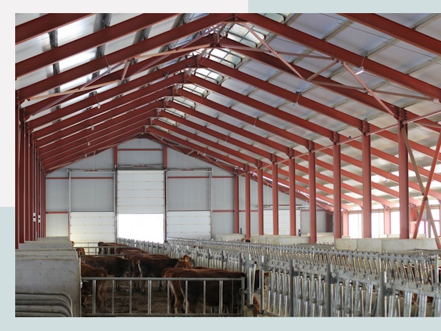 Строительство коровников в Великом Устюге