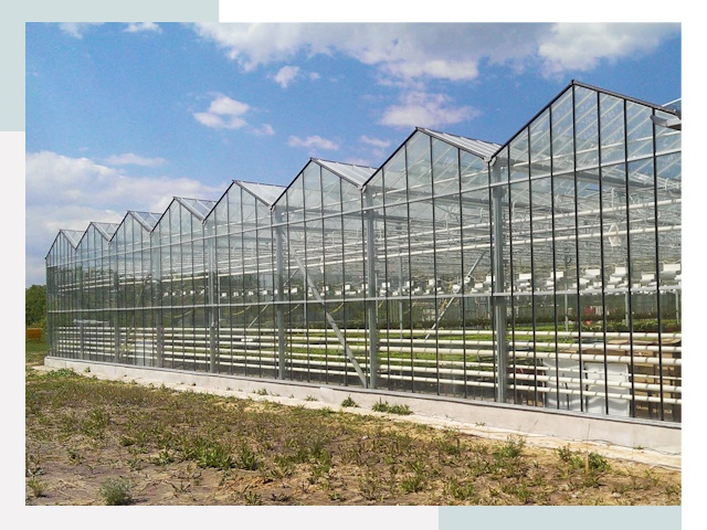 Строительство теплиц в Великий Устюг от 611 руб. за м²